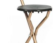 walking sticks with seats