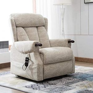 denmark dual motor riser recliner